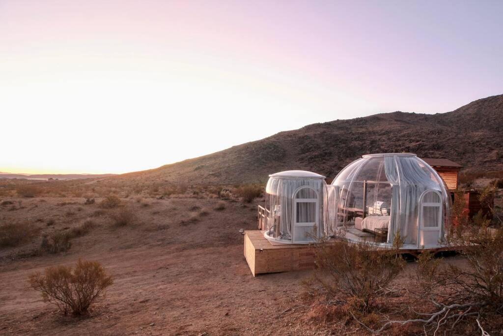 Jthavn-Joshua Tree Remote Dessert Bubble Dome Ngoại thất bức ảnh