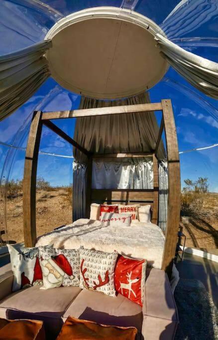 Jthavn-Joshua Tree Remote Dessert Bubble Dome Ngoại thất bức ảnh